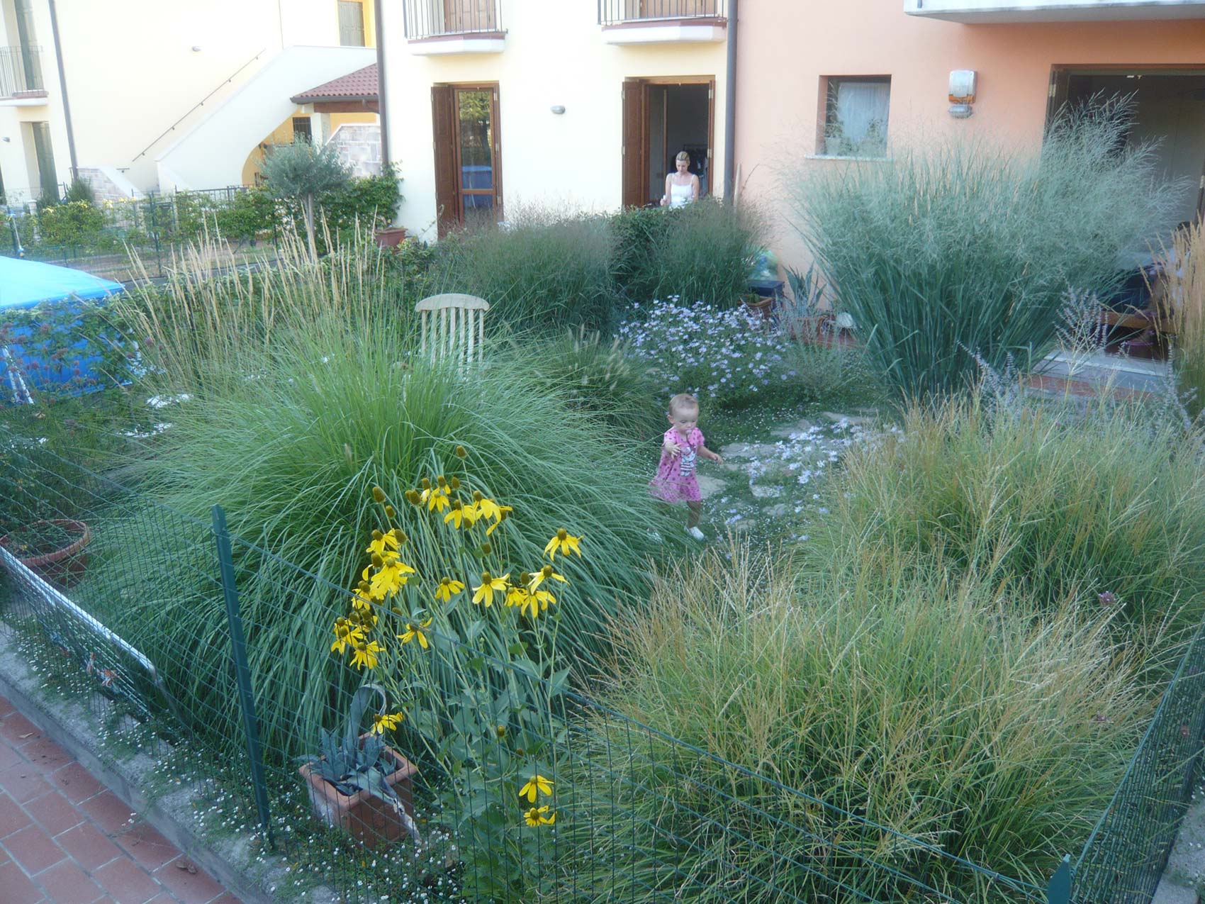 aspetto vegetativo dopo un anno