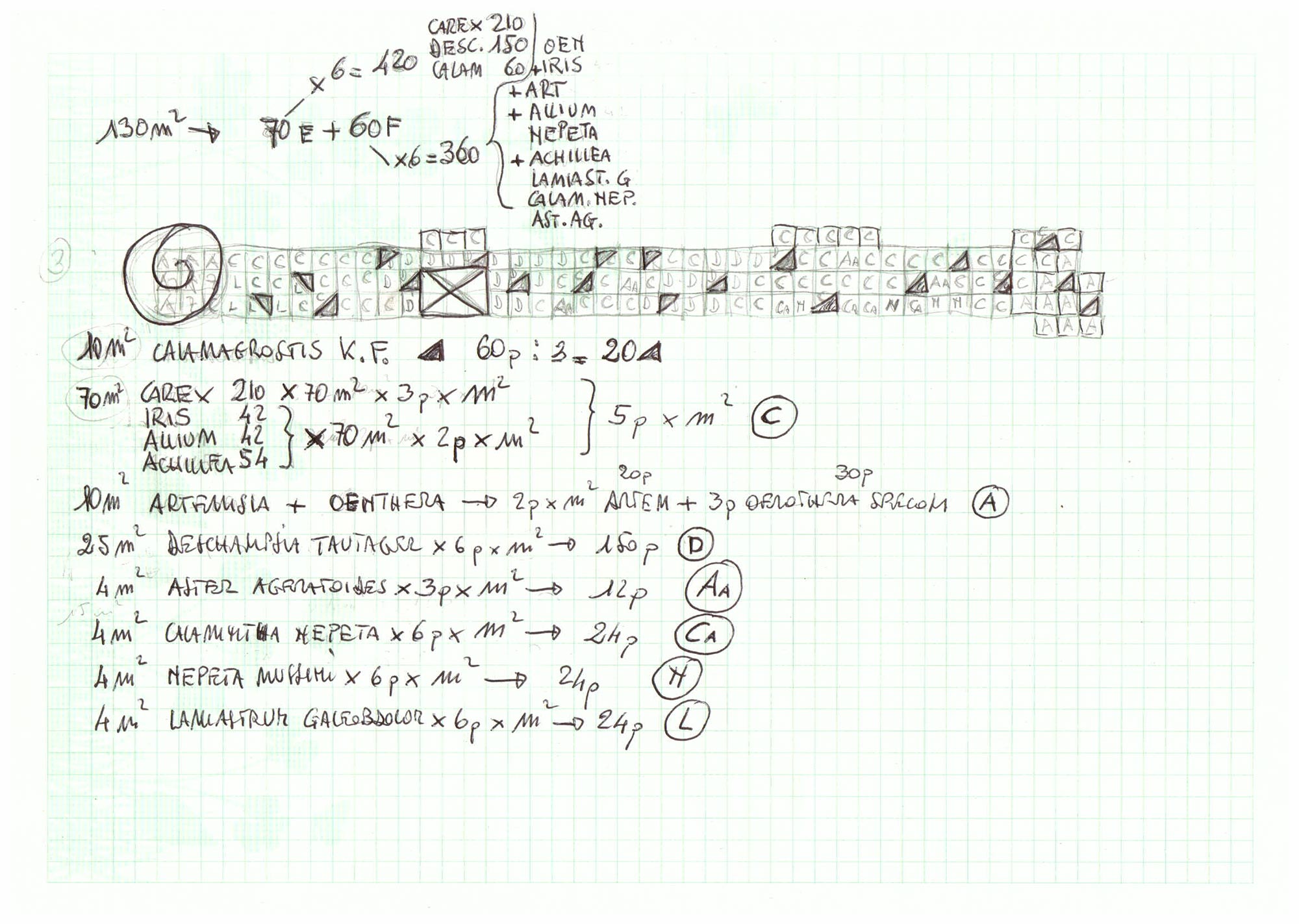 Aiuola 3