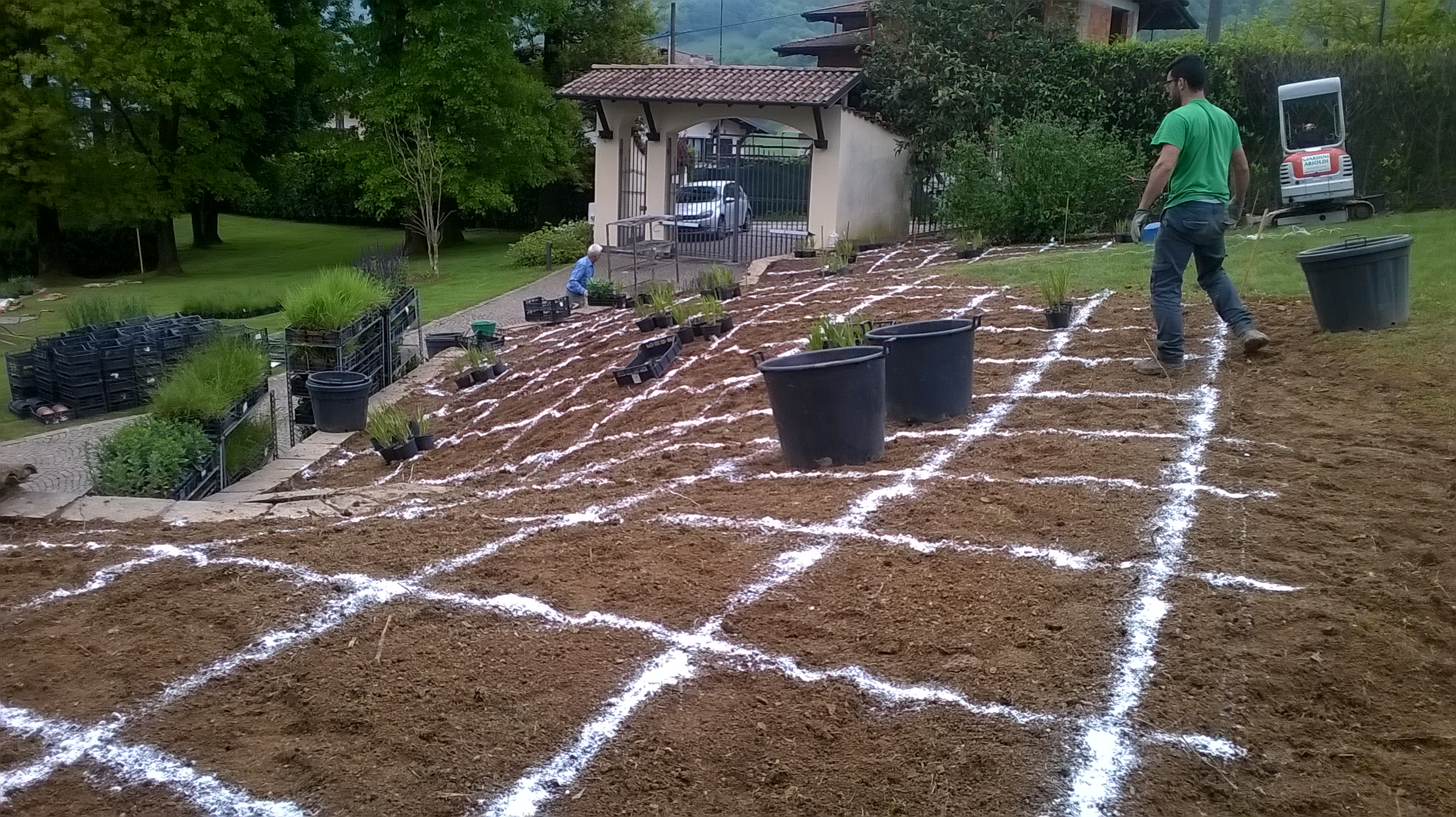 Aiuola n°2