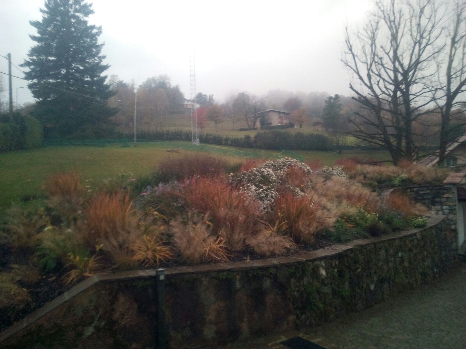 Fine Novembre 2017